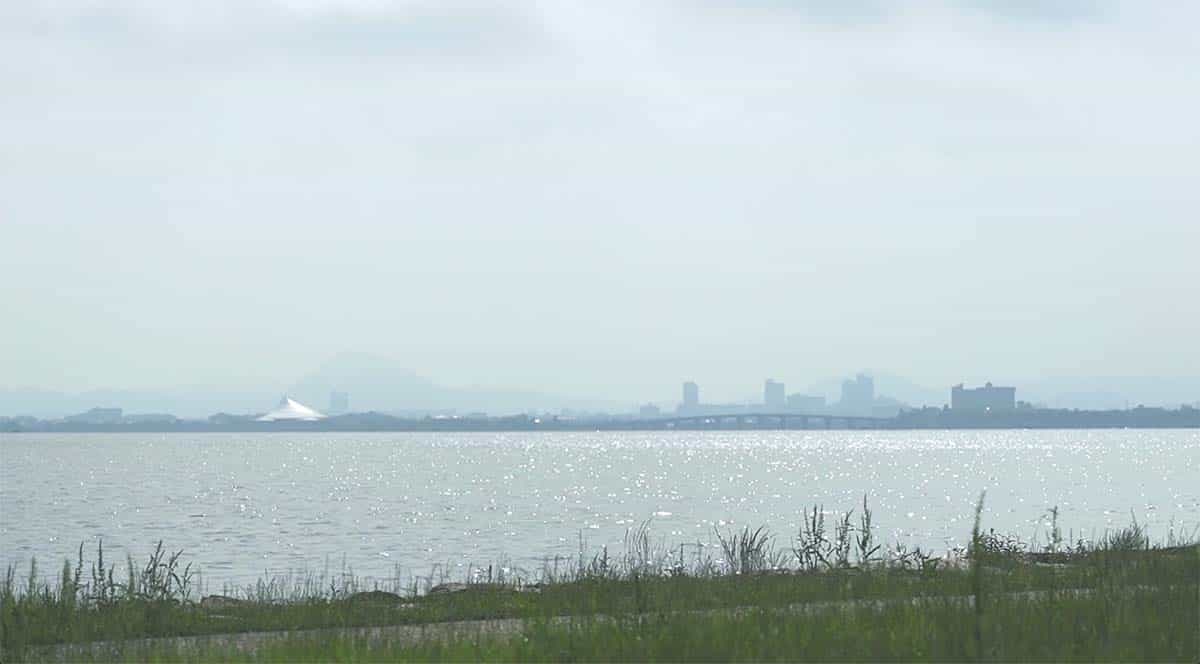 image-photo